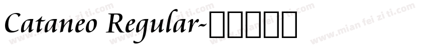 Cataneo Regular字体转换